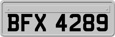 BFX4289
