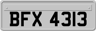 BFX4313