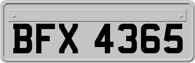 BFX4365
