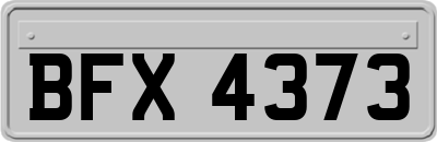 BFX4373