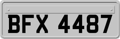 BFX4487