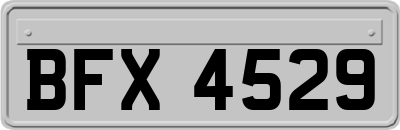 BFX4529
