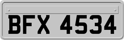 BFX4534