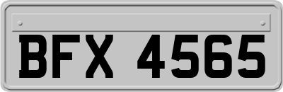BFX4565