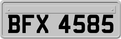 BFX4585