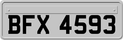 BFX4593