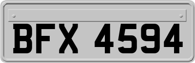BFX4594