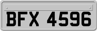 BFX4596
