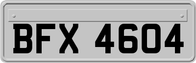 BFX4604