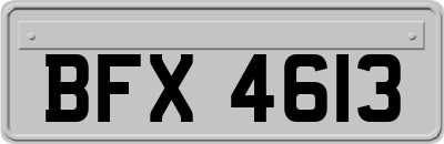 BFX4613