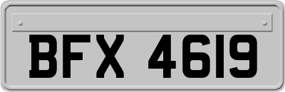 BFX4619