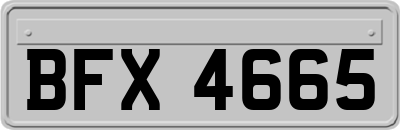 BFX4665