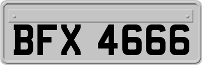BFX4666