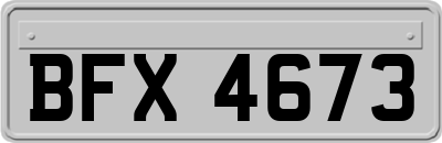 BFX4673
