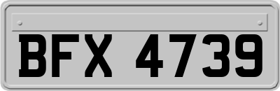 BFX4739