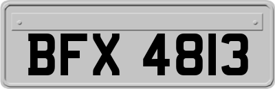BFX4813