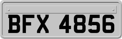 BFX4856