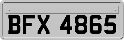BFX4865