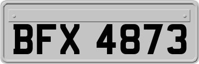 BFX4873