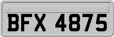 BFX4875
