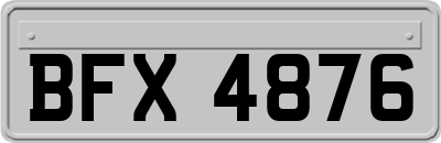 BFX4876