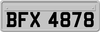 BFX4878
