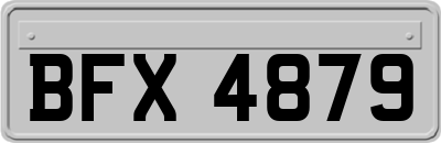 BFX4879