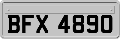 BFX4890