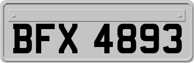 BFX4893