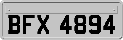 BFX4894