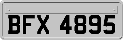 BFX4895