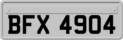 BFX4904