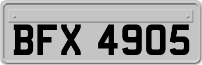 BFX4905