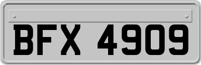 BFX4909