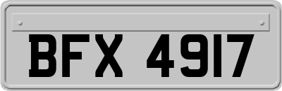 BFX4917