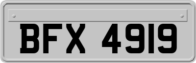 BFX4919