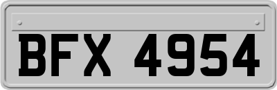 BFX4954