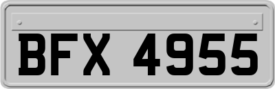 BFX4955
