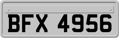 BFX4956