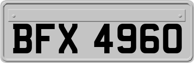 BFX4960