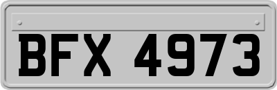 BFX4973