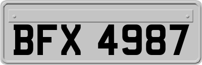 BFX4987