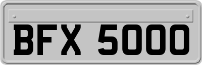 BFX5000