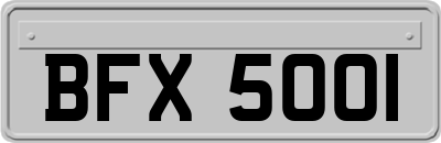BFX5001