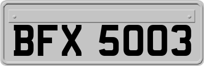 BFX5003