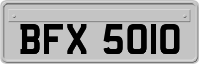 BFX5010