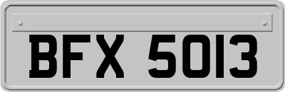 BFX5013