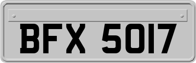 BFX5017