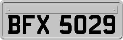 BFX5029
