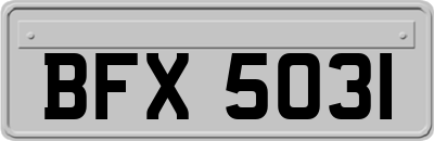 BFX5031
